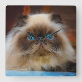 Cutest Baby Animals | Himalayan Cat スクエア壁時計 (正面)