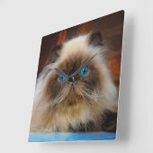 Cutest Baby Animals | Himalayan Cat スクエア壁時計 (傾斜)