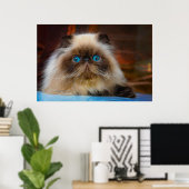 Cutest Baby Animals | Himalayan Cat ポスター (ホームオフィス)