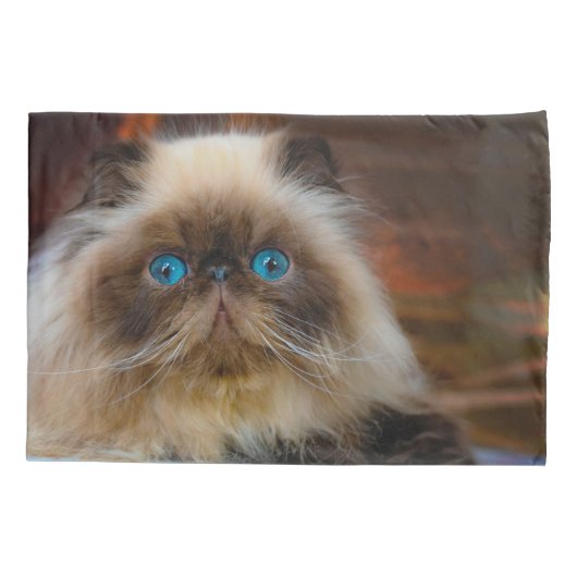 Cutest Baby Animals | Himalayan Cat 枕カバー (裏面)