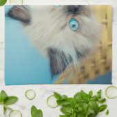 Cutest Baby Animals | Himalayan Seal Point Cat キッチンタオル (折り畳み)