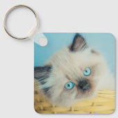 Cutest Baby Animals | Himalayan Seal Point Cat キーホルダー (正面)