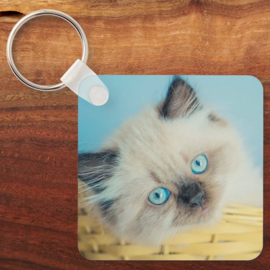 Cutest Baby Animals | Himalayan Seal Point Cat キーホルダー (正面)