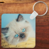 Cutest Baby Animals | Himalayan Seal Point Cat キーホルダー (裏面)