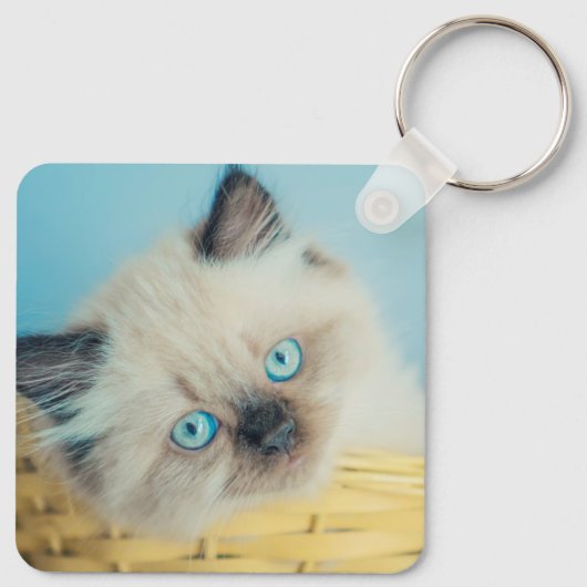 Cutest Baby Animals | Himalayan Seal Point Cat キーホルダー (裏面)