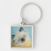 Cutest Baby Animals | Himalayan Seal Point Cat キーホルダー (正面)