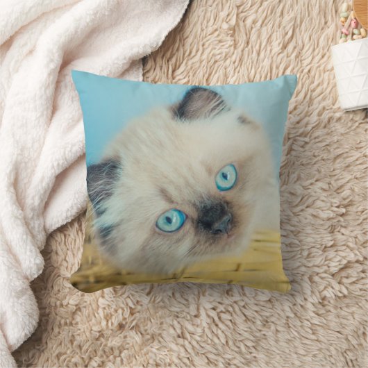 Cutest Baby Animals | Himalayan Seal Point Cat クッション (ブランケット)