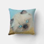 Cutest Baby Animals | Himalayan Seal Point Cat クッション (裏面)