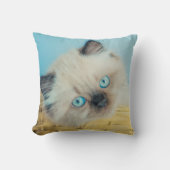 Cutest Baby Animals | Himalayan Seal Point Cat クッション (正面)