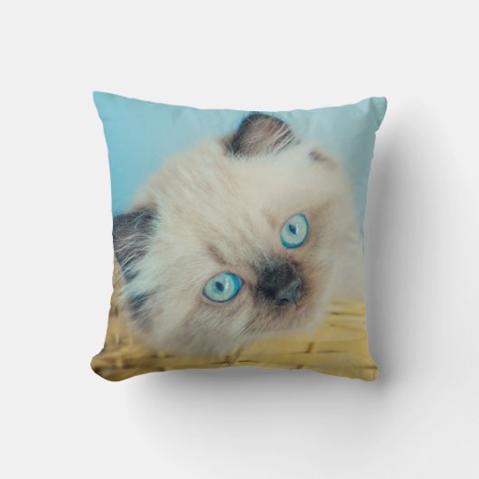 Cutest Baby Animals | Himalayan Seal Point Cat クッション (正面)