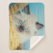 Cutest Baby Animals | Himalayan Seal Point Cat シェルパブランケット (正面)