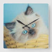 Cutest Baby Animals | Himalayan Seal Point Cat スクエア壁時計 (正面)
