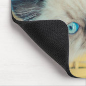 Cutest Baby Animals | Himalayan Seal Point Cat マウスパッド (コーナー)