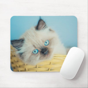 Cutest Baby Animals   Himalayan Seal Point Cat マウスパッド