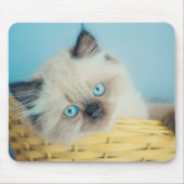 Cutest Baby Animals | Himalayan Seal Point Cat マウスパッド (正面)