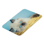 Cutest Baby Animals | Himalayan Seal Point Cat マグネット (左側)