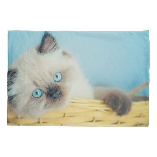 Cutest Baby Animals | Himalayan Seal Point Cat 枕カバー (裏面)