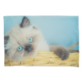 Cutest Baby Animals | Himalayan Seal Point Cat 枕カバー (正面)