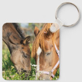 Cutest Baby Animals | Horse Colt キーホルダー (裏面)