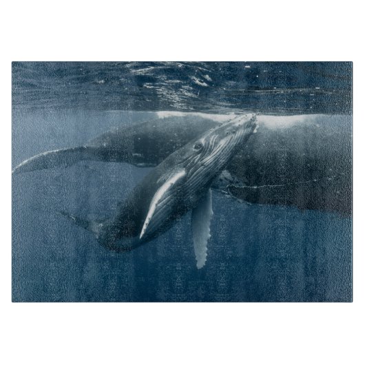 Cutest Baby Animals | Humpback Whale Calf カッティングボード (正面)