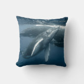 Cutest Baby Animals | Humpback Whale Calf クッション (正面)