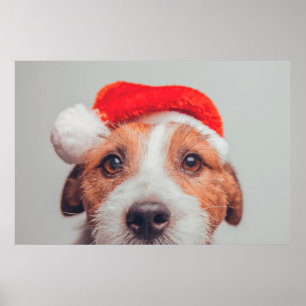 Cutest Baby Animals Jack Russell Dog Santa Claus ポスター