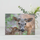 Cutest Baby Animals | Key Deer Stag & Fawn サンキューカード (スタンド正面)