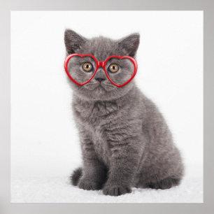 Cutest Baby Animals Kitten Heart Glasses ポスター