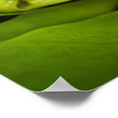 Cutest Baby Animals | Kitten in Basket ポスター (角)