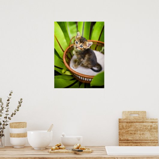Cutest Baby Animals | Kitten in Basket ポスター (キッチン)