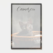 Cutest Baby Animals | Kitten in Basket ポストイット (正面)