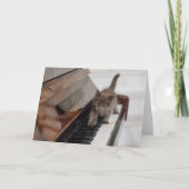 Cutest Baby Animals | Kitten on Piano カード (正面)