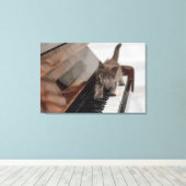 Cutest Baby Animals | Kitten on Piano キャンバスプリント (インサイチュ (ウッドフロア))