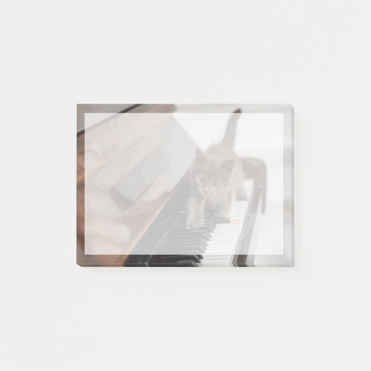 Cutest Baby Animals | Kitten on Piano ポストイット (正面)