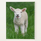 Cutest Baby Animals | Lil Lamb プランナー手帳 (裏面)