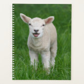 Cutest Baby Animals | Lil Lamb プランナー手帳 (正面)