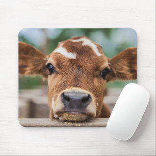Cutest Baby Animals Little Cow Calf マウスパッド