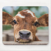 Cutest Baby Animals | Little Cow Calf マウスパッド (正面)