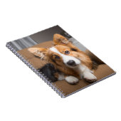 Cutest Baby Animals | Long Hair Corgi Puppy ノートブック (右側)