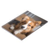 Cutest Baby Animals | Long Hair Corgi Puppy ノートブック (左側)