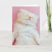 Cutest Baby Animals | Lovely Kitten Sleeping カード (正面)