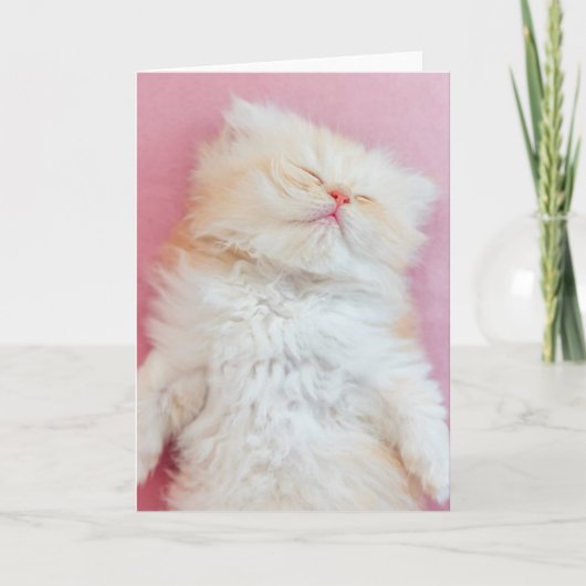 Cutest Baby Animals | Lovely Kitten Sleeping カード (正面)