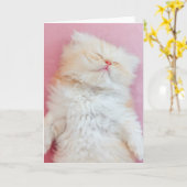 Cutest Baby Animals | Lovely Kitten Sleeping カード (黄色い花)