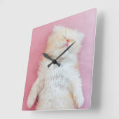 Cutest Baby Animals | Lovely Kitten Sleeping スクエア壁時計 (傾斜)
