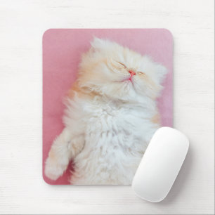 Cutest Baby Animals Lovely Kitten Sleeping マウスパッド