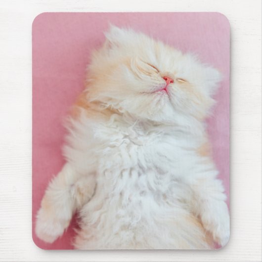 Cutest Baby Animals | Lovely Kitten Sleeping マウスパッド (正面)