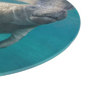 Cutest Baby Animals | Manatee & Baby カッティングボード (角)