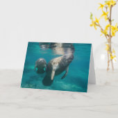 Cutest Baby Animals | Manatee & Baby カード (黄色い花)