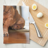 Cutest Baby Animals | Mini Dachshund Puppy キッチンタオル (四つ折り)