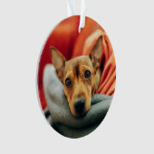 Cutest Baby Animals | Miniature Pinscher オーナメント (正面)